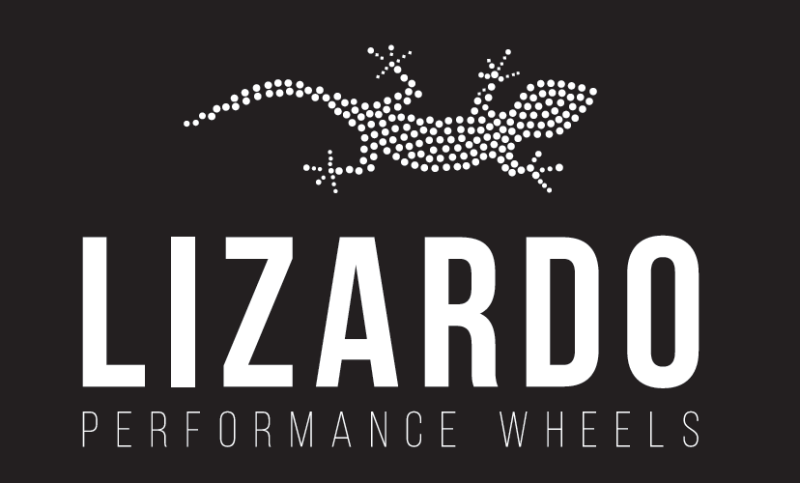 Японские диски Lizardo