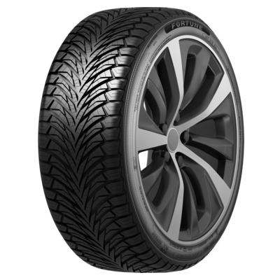 Fortune 205/50R17 93W XL Fitclime FSR-401 TL