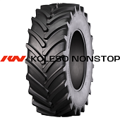 RAG100 (AGRO10)