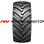 Belshina 30,5R32 162A6 Ф-81 TT