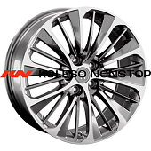 CHG53