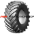 Belshina 30,5R32(800/65R32) 172A8 Ф-81 TT